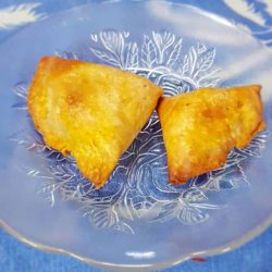 Diet Samosa